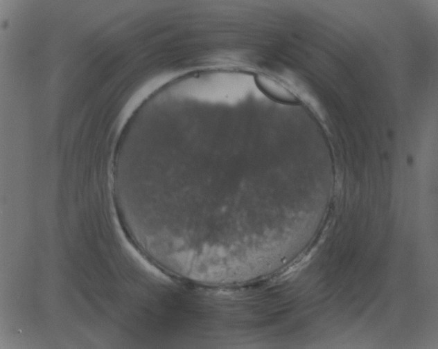 X0000081311239200702012326