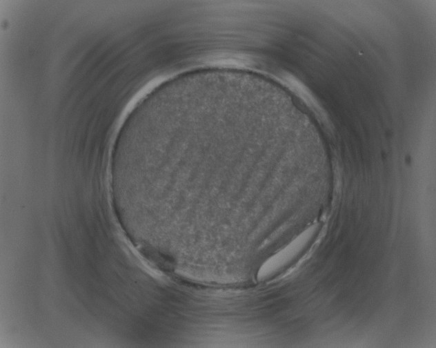 X0000081311240200702012326