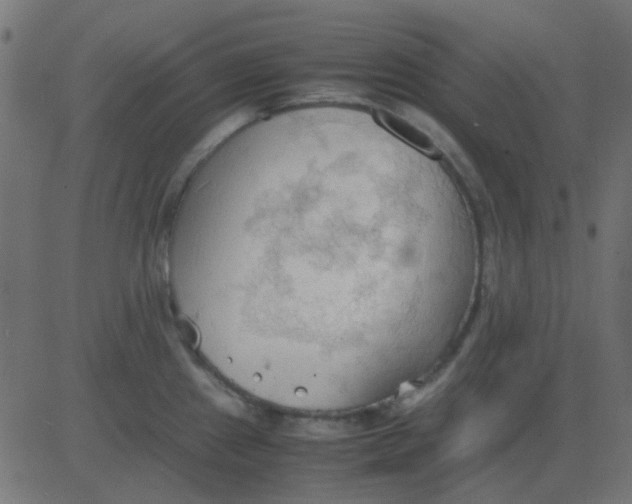 X0000081311241200702012326