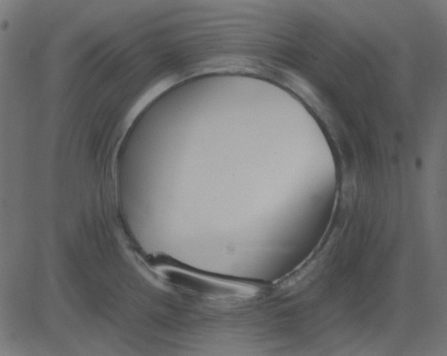 X0000081311242200702012326