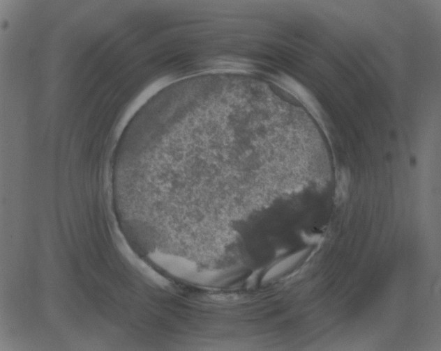 X0000081311243200702012326