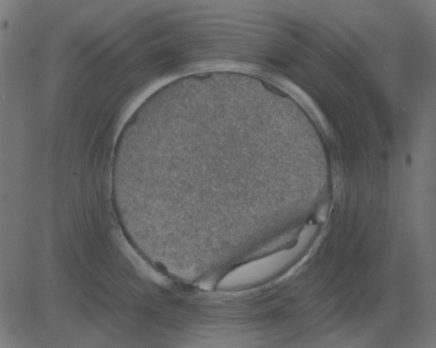 X0000081311244200702012326