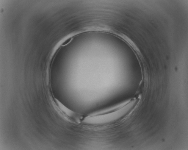 X0000081311246200702012326