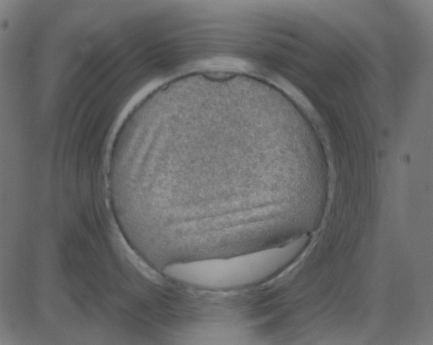 X0000081311248200702012326