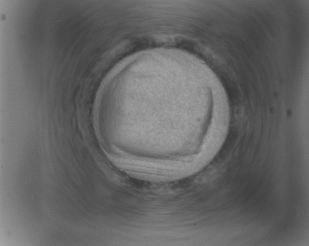 X0000081311249200702012326