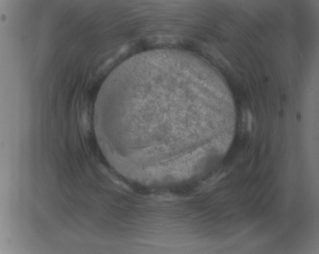 X0000081311250200702012326