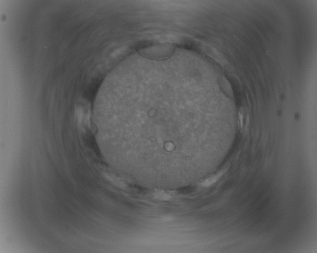 X0000081311251200702012325