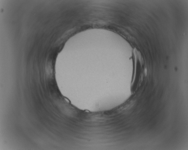 X0000081311252200702012325