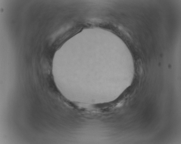 X0000081311253200702012325