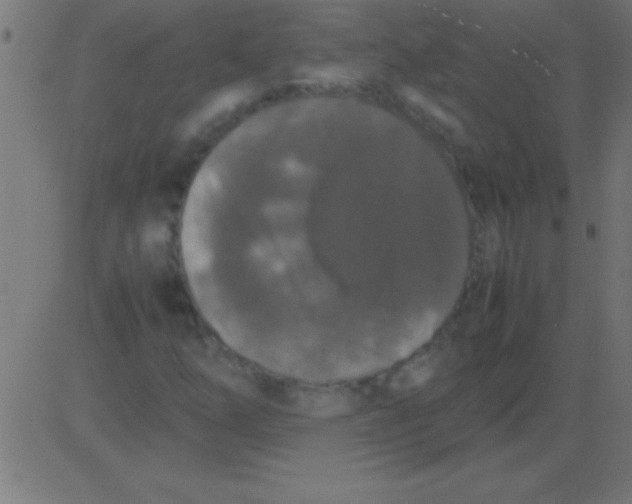 X0000081311254200702012325