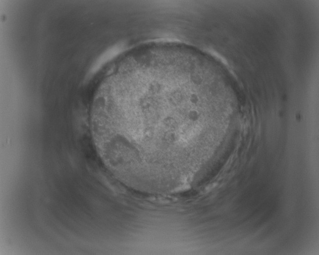 X0000081311255200702012325