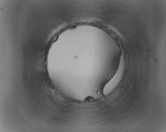 X0000081311256200702012325