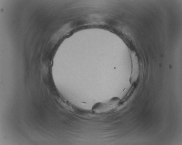 X0000081311257200702012325