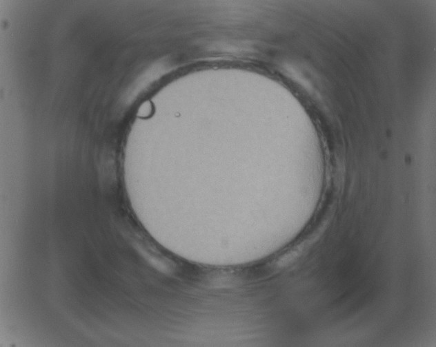 X0000081311259200702012325