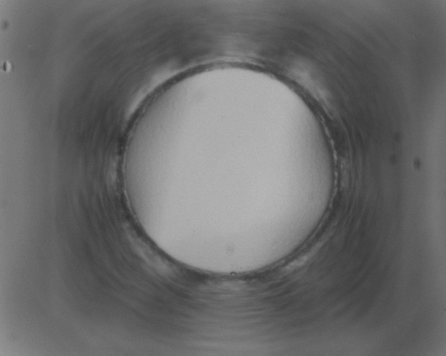 X0000081311260200702012325