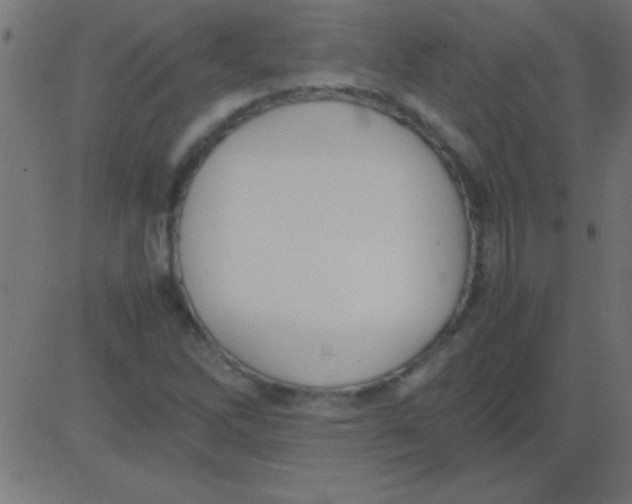 X0000081311262200702012325