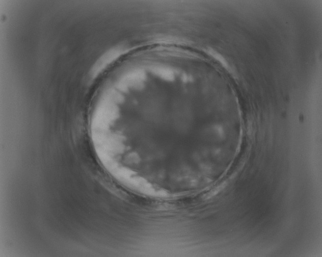 X0000081311263200702012325