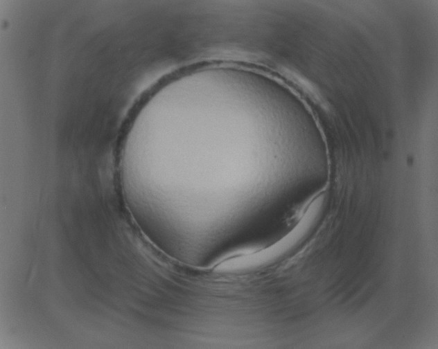 X0000081311264200702012325