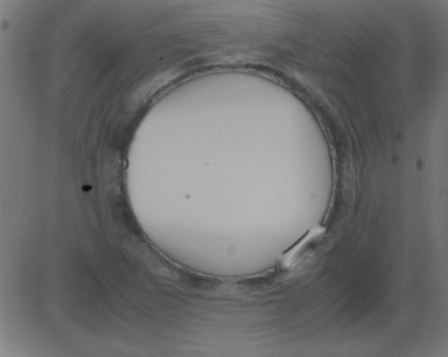 X0000081311265200702012325