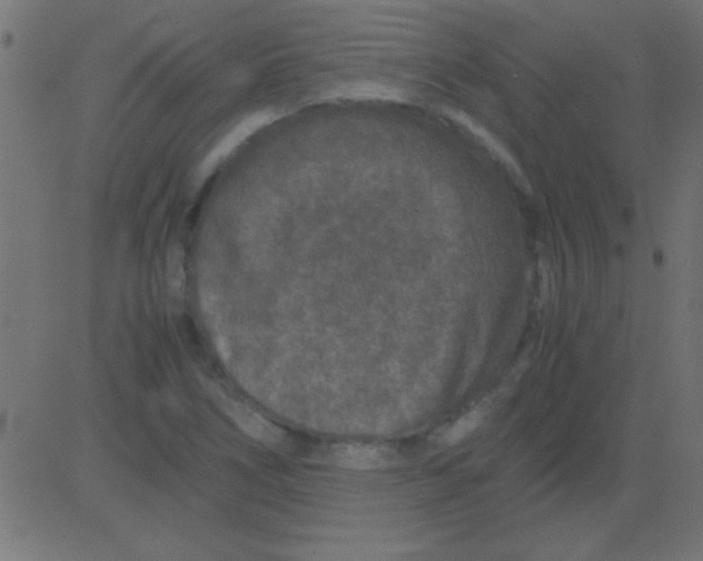 X0000081311266200702012325