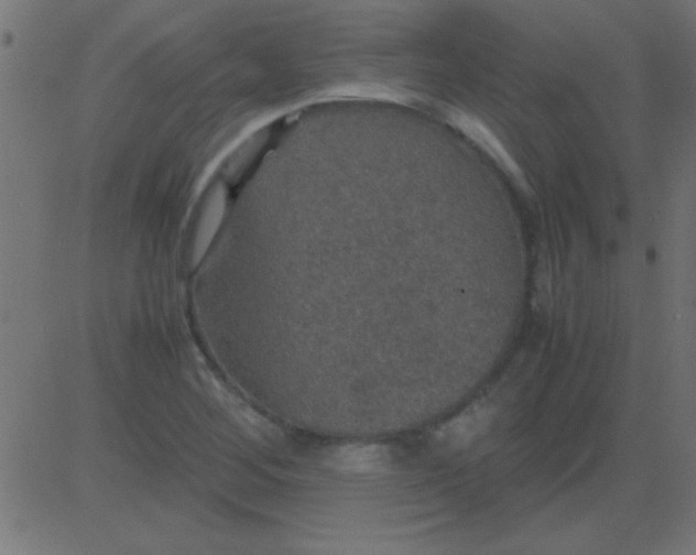 X0000081311268200702012325