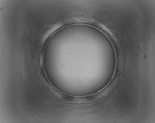 X0000081311269200702012325