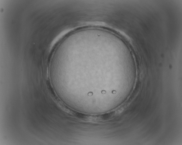 X0000081311271200702012325