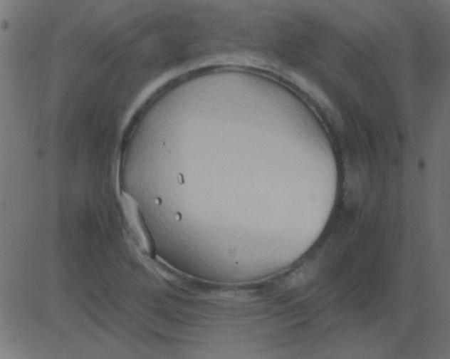 X0000081311272200702012325