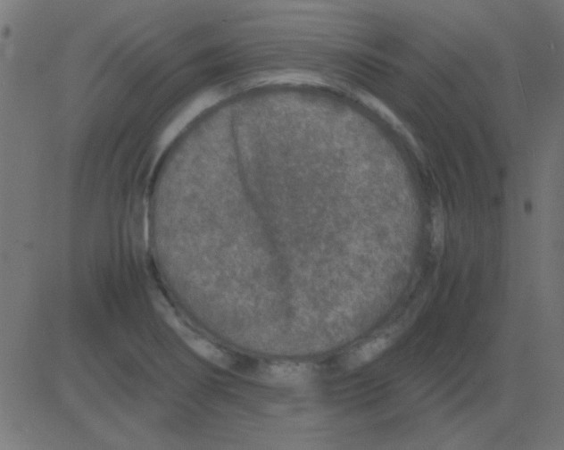 X0000081311274200702012325