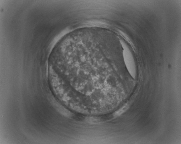 X0000081311275200702012325