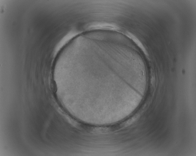 X0000081311277200702012325