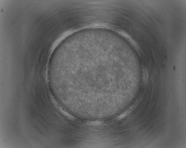 X0000081311278200702012325