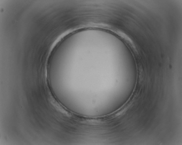 X0000081311280200702012325