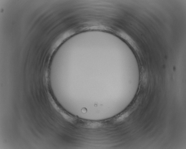 X0000081311282200702012325