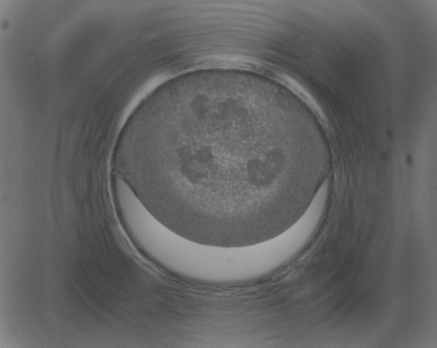 X0000081311283200702012325