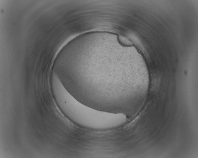 X0000081311284200702012325