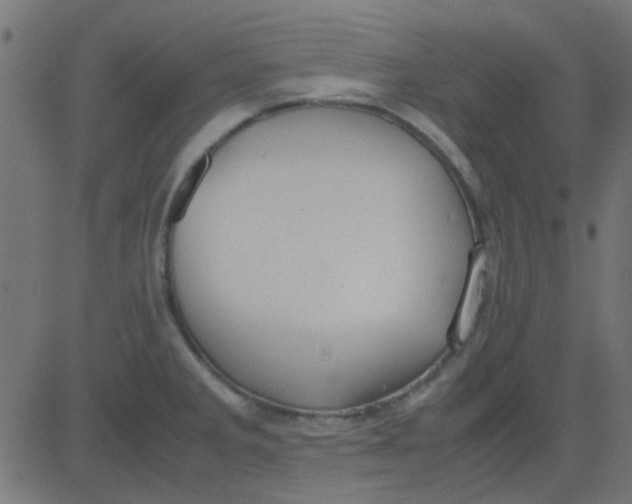 X0000081311285200702012325