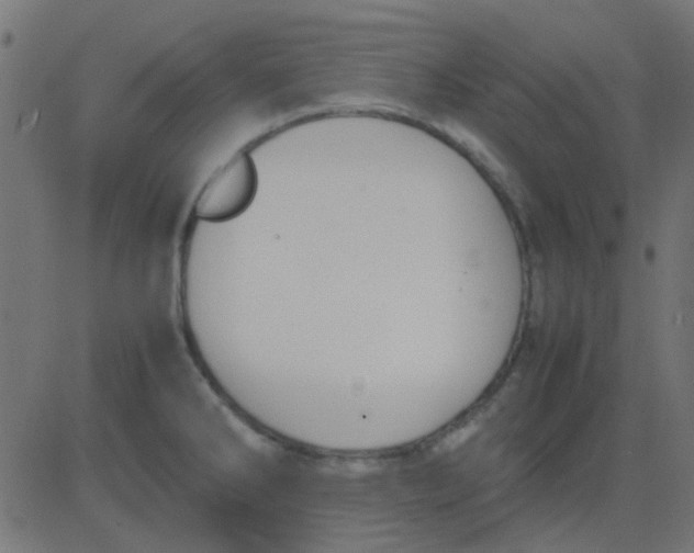 X0000081311286200702012325