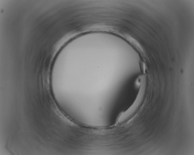 X0000081311288200702012325