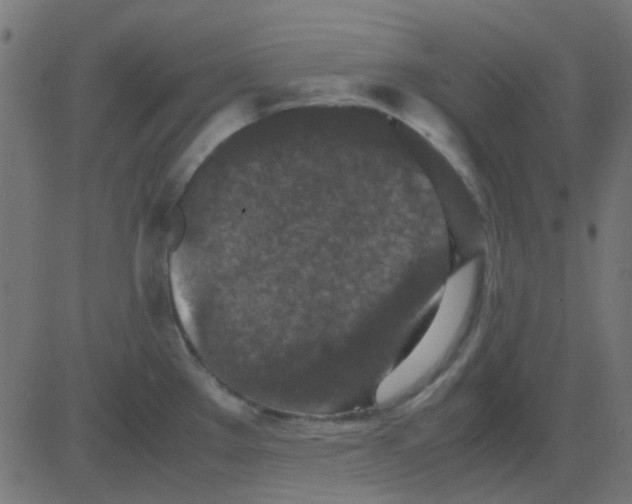 X0000081311289200702012325