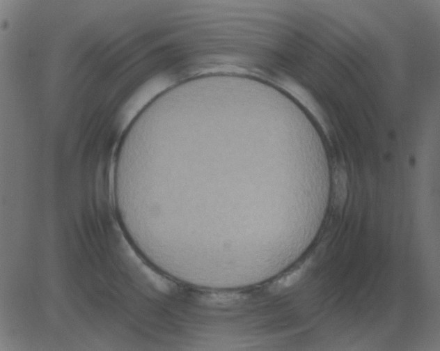 X0000081311290200702012325