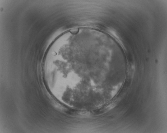 X0000081311291200702012325