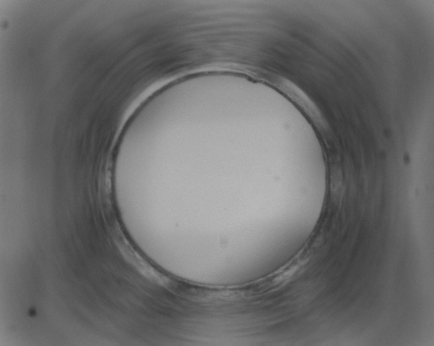 X0000081311292200702012325