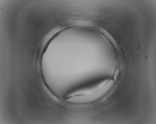 X0000081311293200702012325