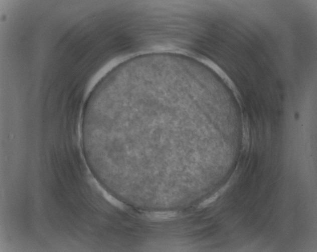 X0000081311294200702012325