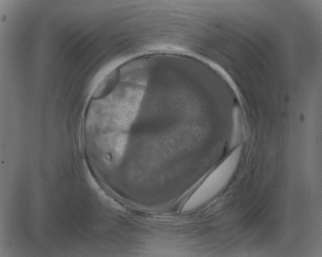 X0000081311295200702012325