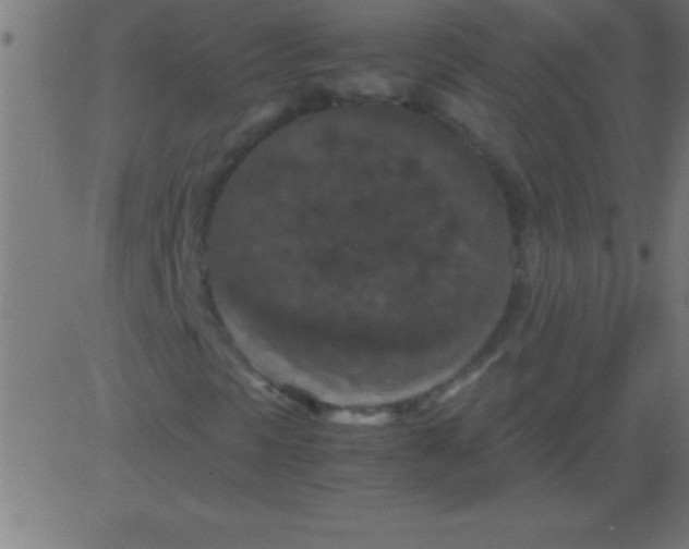 X0000081311297200702012324