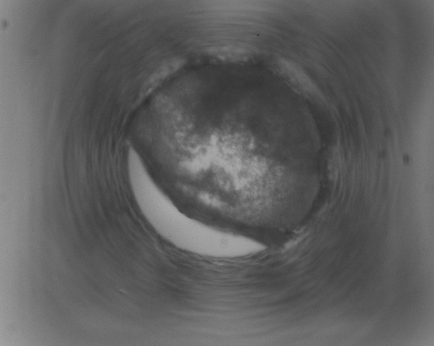 X0000081311298200702012324