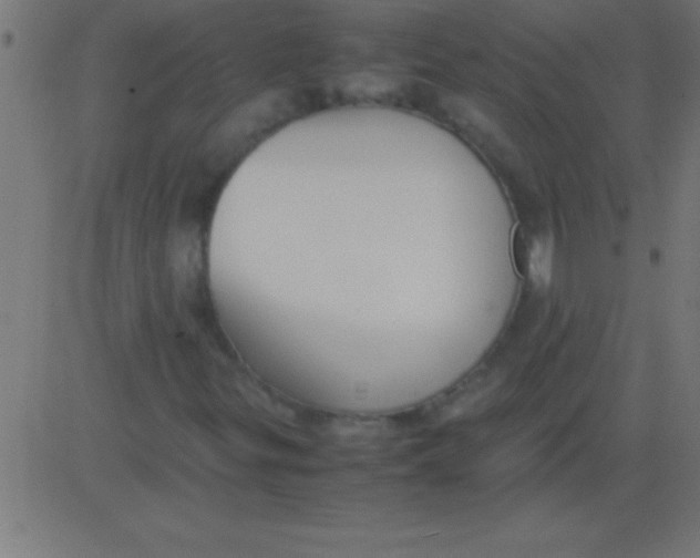 X0000081311299200702012324