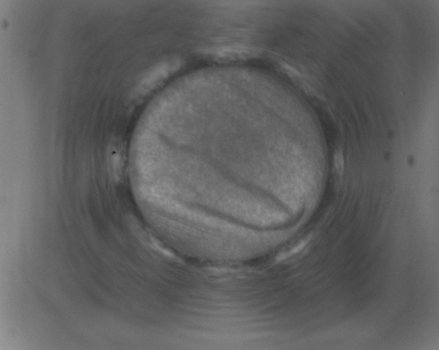 X0000081311300200702012324